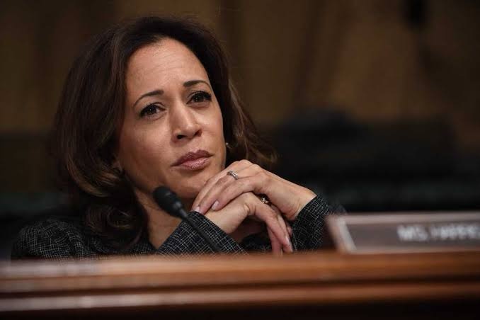 The Rise and Fall of Kamala Harris; Where Did It Go Wrong?